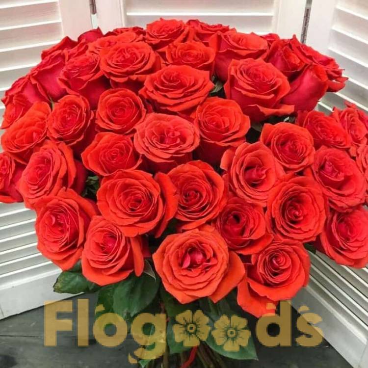 51 красная роза за 19 506 руб.